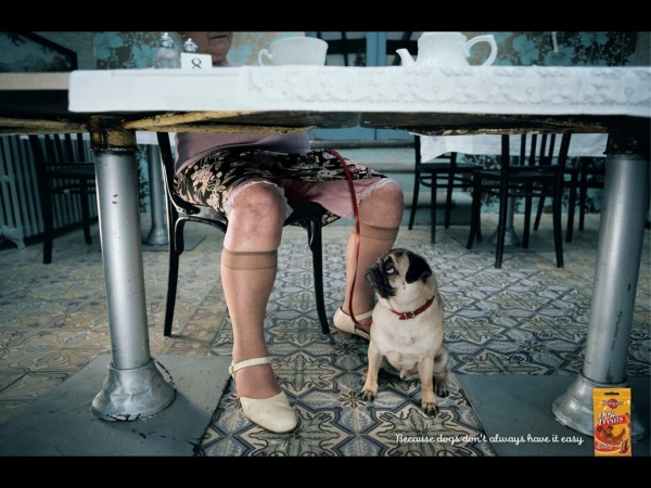 Pedigree2